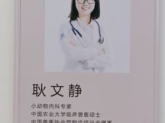 -美联众合动物医院·24h转诊中心