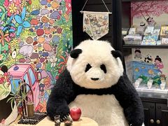 -轩客会(熊猫书店)