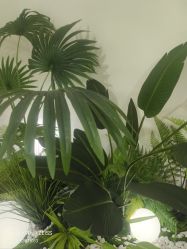 -HEYAN荷妍专业脱毛连锁机构