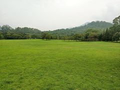 -福建鲤鱼洲酒店