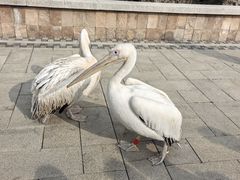 -泉城欧乐堡梦幻世界