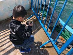 -北戴河圣蓝海洋公园