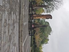 -金钉子远古世界景区
