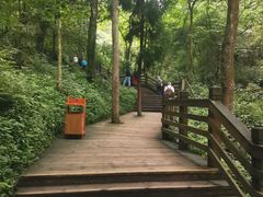 -青城山