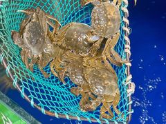 -阳澄湖大闸蟹·琼灵阁牌品牌连锁(吴中总店)