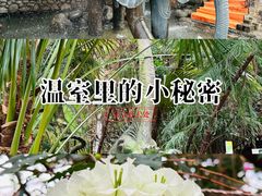 -呀路古热带植物园