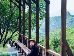 -大岭沟猕猴桃谷风景区