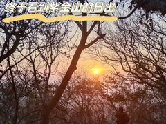 -紫金山山顶公园