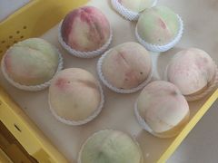 -老袁家蜜桃农场·阳山水蜜桃