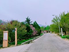 -鹫峰国家森林公园