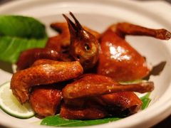 乳鸽-小炳胜(卓悦中心店)