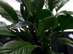 -福寿堂·推拿按摩养生(现代城店)