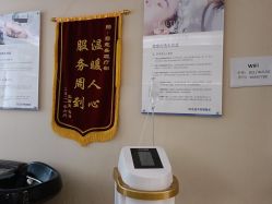 -碧莲盛·不剃发植发