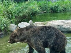 -北京野生动物园