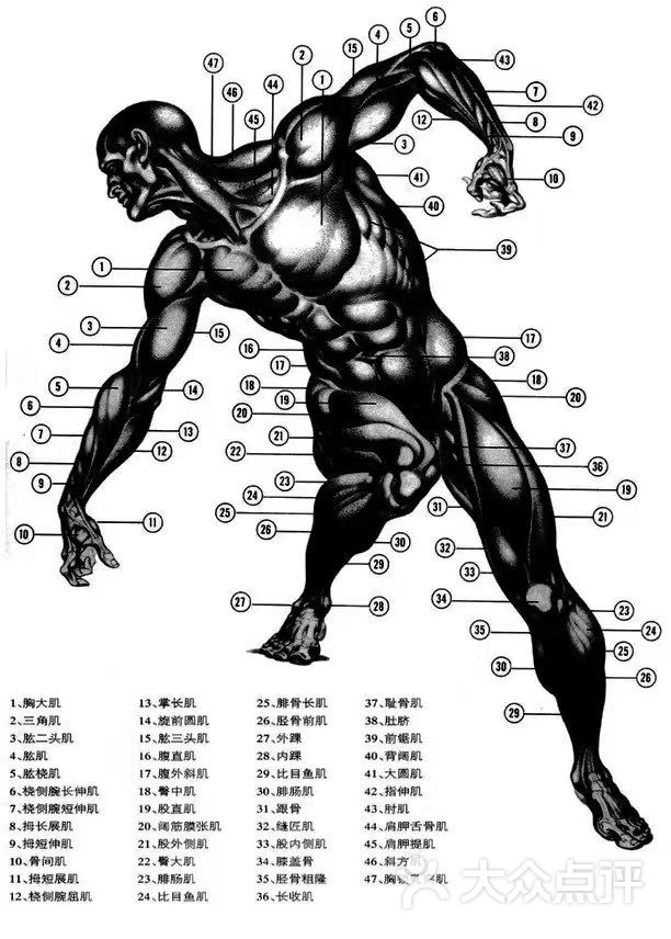 积水潭游泳健身