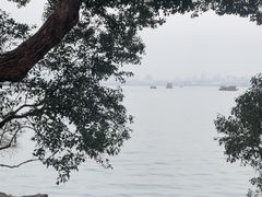 -西湖游船
