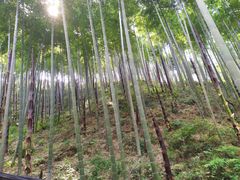 -径山寺
