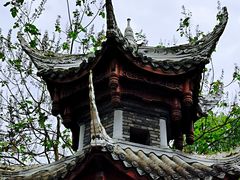 -三道苗苗鱼(三道堰老字号店)