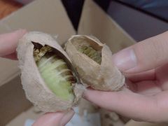 -李村大集
