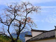 -塔川景区