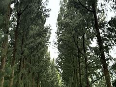 -青澳湾北回归线广场