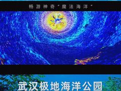 -海合安武汉极地海洋公园