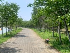 -上海海湾国家森林公园