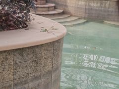 -嘉兴清池酒店温泉