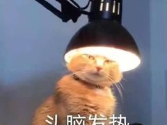 -东北大学（浑南校区）食堂
