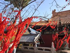 -宝通禅寺
