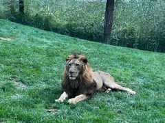 -北京野生动物园