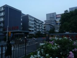 -首都医科大学附属北京儿童医院