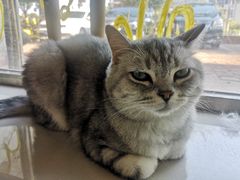 -平行世界·猫咖(首经贸店)