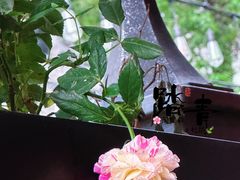 -COMMUNE幻师(花园道店)