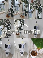 -HEYAN荷妍专业脱毛连锁机构
