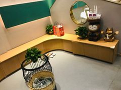 -飞行喵MR PILOT|猫舍·猫咖(静安大融城店)