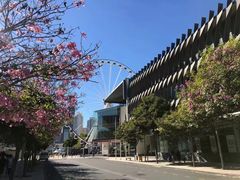 -布里斯班南岸公园
