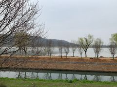 -羊山湖公园