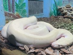 -石家庄市动物园