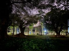 -南宁南湖公园