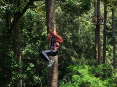 -清迈丛林飞跃 JungleFlight