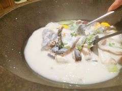 -鲜潭蒸汽石锅鱼(五道口购物中心店)