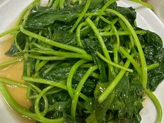 -广达眼镜炖罐(广达店)