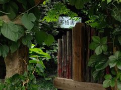 -斯多格书乡(北京大学畅春园店)