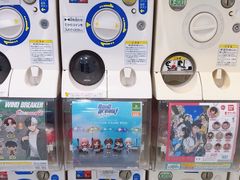 -Animate(秋叶原本馆)