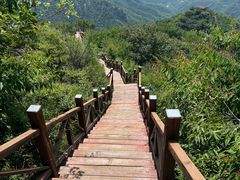 -大岭沟猕猴桃谷风景区