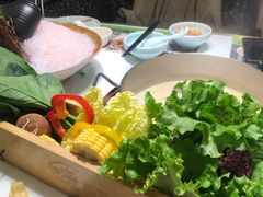 -洪氏嗨捞·猪肚鸡火锅(阳光天地店)