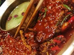 -杨家火锅(国美店)