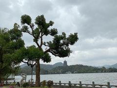 -杭州西湖柳莺里酒店·闻莺厅