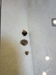 -慈蕊美容养生·专业经络调理